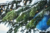 С Новым годом! График работы клиники в праздники